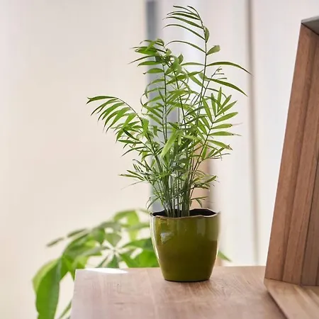 Casa Rebecca Piazza Del Campo Netflix-wifi Siena